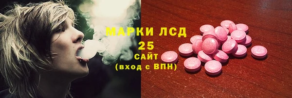 ГАЛЛЮЦИНОГЕННЫЕ ГРИБЫ Алексин