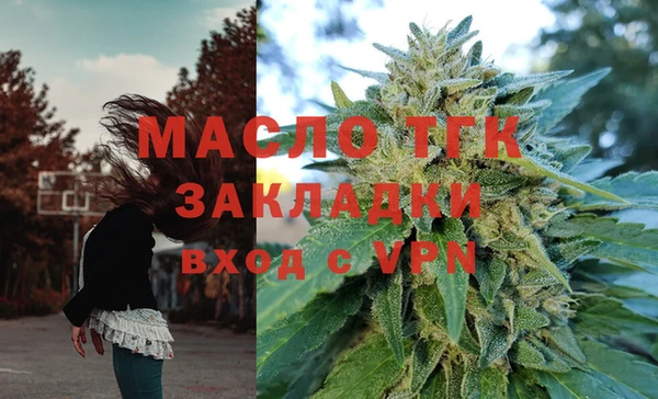 индика Сафоново