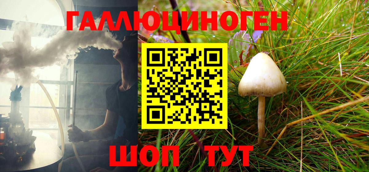 Псилоцибиновые грибы Psilocybine cubensis  Вход с VPN  Черкесск 