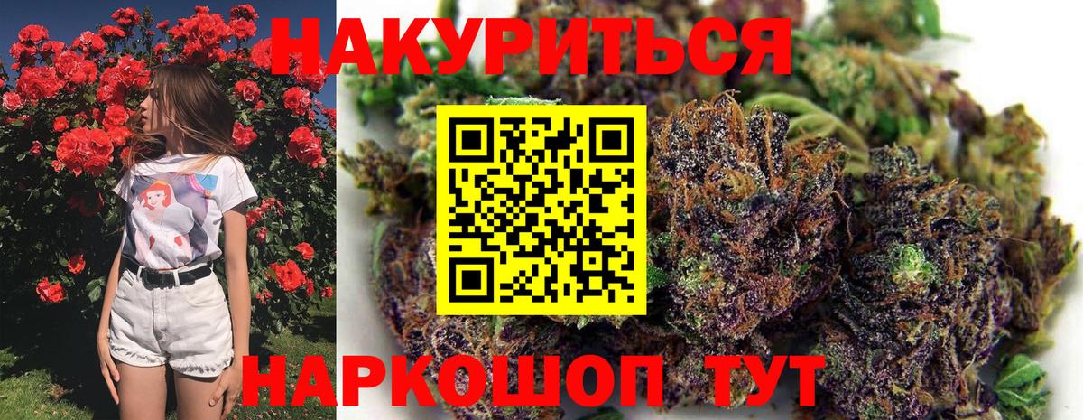 Бошки марихуана SATIVA & INDICA Черкесск